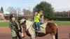 Beringen - Paarden en pony op bezoek in het Mozaïek