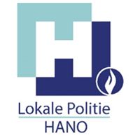 Hamont-Achel - Minipaardje dood aangetroffen in weide