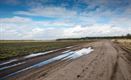 Beheer van Blekerheide en Riebosserheide