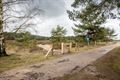 Beheer van Blekerheide en Riebosserheide