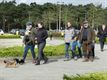 Teckelwandeling aan De Soeverein