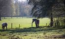 Volop lente in Kerkhoven en Gelderhorsten