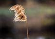 Volop lente in Kerkhoven en Gelderhorsten