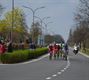 De Scheldeprijs passeerde in Lommel