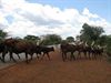 Zjuul Devens mailt uit Uganda