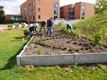 Lente in de 'warme tuin' van Ocura