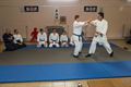 Demonstratie Hei Jo Shin Dojo