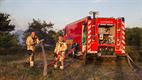 Heidebrand in Gelderhorsten