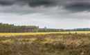 Vandaag in de Blekerheide