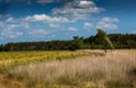 Vandaag op de Blekerheide