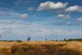 Vandaag op de Blekerheide