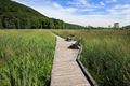 Van onze man in New York: de Appalachian Trail