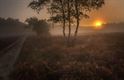 Vandaag op de Blekerheide en Heuvelheide