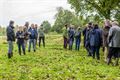 Inhuldiging meanderproject Zwarte Beek