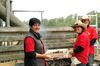Een echt cowboyfeest