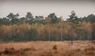 Proefsleuvenonderzoek op Blekerheide