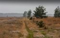 Proefsleuvenonderzoek op Blekerheide