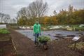 Volkstuin De Motten sluit seizoen af