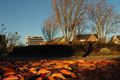 Herfst in Beringen
