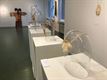 Expo 'Tutto Bello' geopend