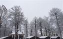 Sneeuw in onze stad