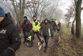 Honden en baasjes op wandel