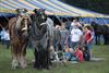 Vlaams trekkampioenschap op Hennemeuwis