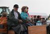 Vlaams trekkampioenschap op Hennemeuwis