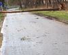 Veel stormschade in onze stad