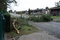 Veel stormschade in onze stad