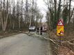 Grote stormschade in Beringen