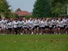 Meer dan 3.000 deelnemers aan stratenloop