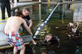 Nu ook waterplanten in duikcentrum TODI