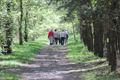 Smaakwandeling Okra Werkplaatsen