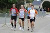 Massa volk voor Hamontisser