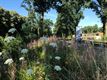 Beringen als toeristische attractie (2)