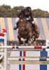 LRV-kampioenschap: N.-Limburg deed 't goed