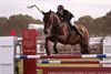 LRV-kampioenschap: N.-Limburg deed 't goed