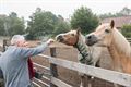 Leefgroep De Vloeter in hoeve Genemeer