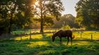 Heide-Heuvel en Blekerheide vandaag