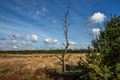 Heide-Heuvel en Blekerheide vandaag