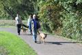 Hondenwandeling Heide-Wachters Mecheltjes