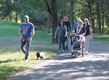 Hondenwandeling Heide-Wachters Mecheltjes