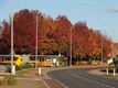 Herfst in geuren en kleuren