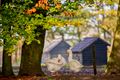 Herfst in Heide-Heuvel en Kolonie