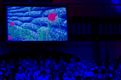 Indrukwekkend concert: A mass for peace