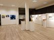 Expo Paalse kunstkring