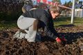 Kinderen De Berk planten 30.000 bloembollen