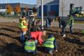 Kinderen De Berk planten 30.000 bloembollen