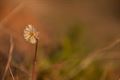 Knappe herfstfoto's